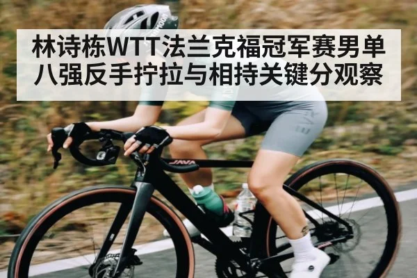 林诗栋WTT法兰克福冠军赛男单八强反手拧拉与相持关键分观察